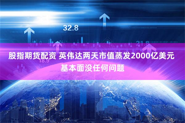 股指期货配资 英伟达两天市值蒸发2000亿美元 基本面没任何问题
