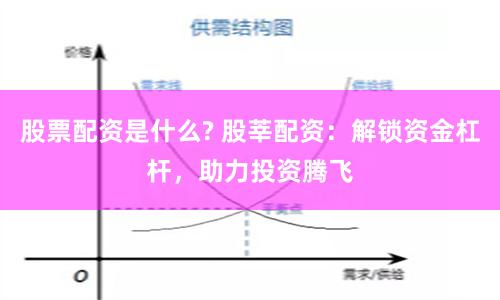 股票配资是什么? 股莘配资：解锁资金杠杆，助力投资腾飞