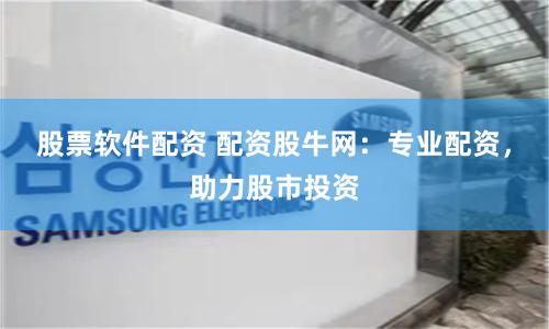 股票软件配资 配资股牛网：专业配资，助力股市投资