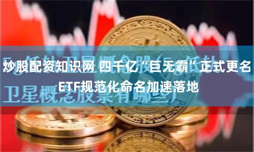 炒股配资知识网 四千亿“巨无霸”正式更名 ETF规范化命名加速落地